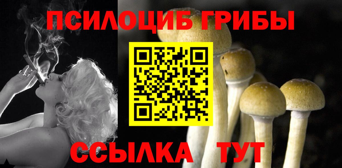 Воркута  Псилоцибиновые грибы GOLDEN TEACHER  Вход с VPN 